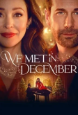 Мы встретились в декабре (2025)